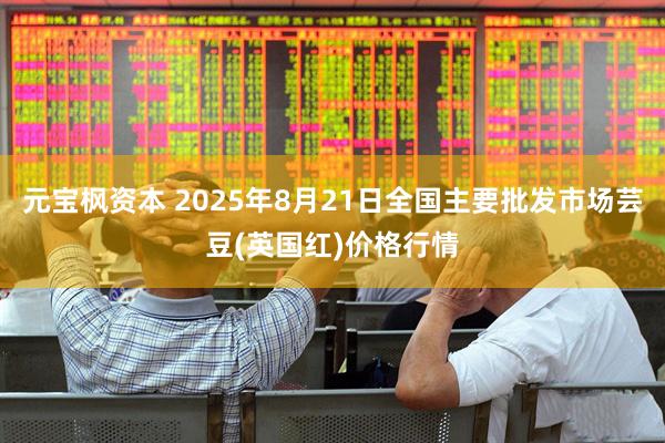 元宝枫资本 2025年8月21日全国主要批发市场芸豆(英国红)价格行情